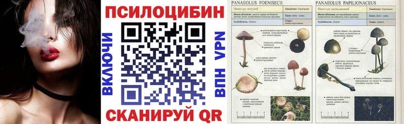 дарнет шоп  Старая Купавна  Галлюциногенные грибы ЛСД 